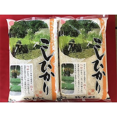 農家のこだわり米　庄内産コシヒカリ 10kg