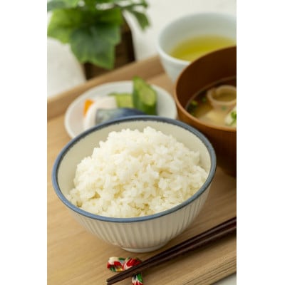 令和6年山形県産ササニシキ(精米)5kg