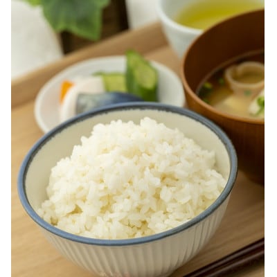 山形県産　つや姫5kg　令和7年産