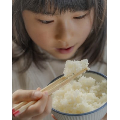 山形県産　雪若丸5kg　令和7年産