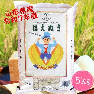 山形県産　はえぬき5kg　令和7年産