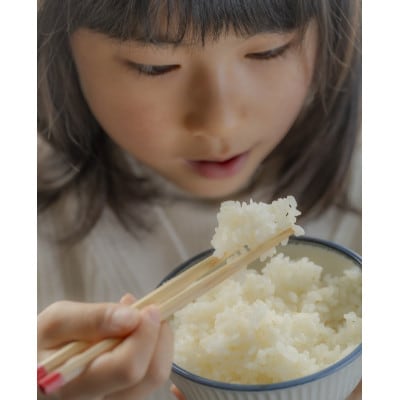 山形県産　はえぬき5kg　令和7年産