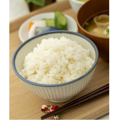 山形県産　はえぬき5kg　令和7年産