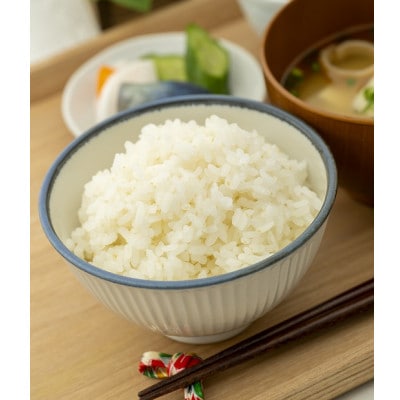 山形県産　つや姫・雪若丸　各5kg　計10kg食べ比べ