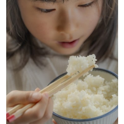 山形県産米　つや姫・雪若丸・はえぬき・ひとめぼれ　各2kg　計8kg食べ比べ