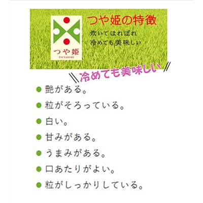 【発送月固定定期便】庄内米 4銘柄味比べ　10kg 全12回