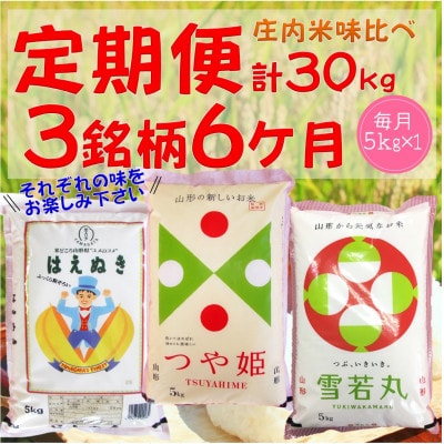 【発送月固定定期便】庄内米味比べ　1月～6月　各5kg×1(精米)全6回