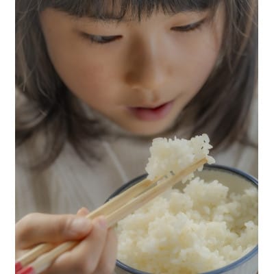 【発送月固定定期便】山形米3銘柄味比べ(精米)5kg全3回