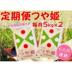 2023年5月発送開始『定期便』庄内産つや姫　5kg×2袋全6回
