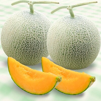 庄内砂丘メロン 浜中産 クインシーメロン 赤肉 大玉2コ 化粧箱入 お礼品詳細 ふるさと納税なら さとふる