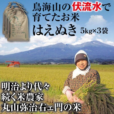 【令和5年産】鳥海山の伏流水で育てた　はえぬき　精米　5kg×3袋