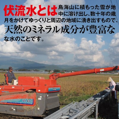 【令和5年産】鳥海山の伏流水で育てた　はえぬき　精米　5kg×3袋