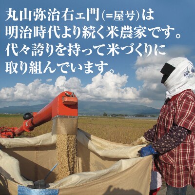 【令和5年産】鳥海山の伏流水で育てた　はえぬき　精米　5kg×3袋