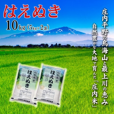 【2023年4月中旬発送】【令和4年産】山形県の米どころ庄内平野の庄内米 はえぬき5kg×2袋
