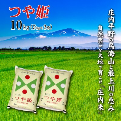 【2023年3月下旬発送】【令和4年産】山形県の米どころ庄内平野の庄内米 つや姫5kg×2袋