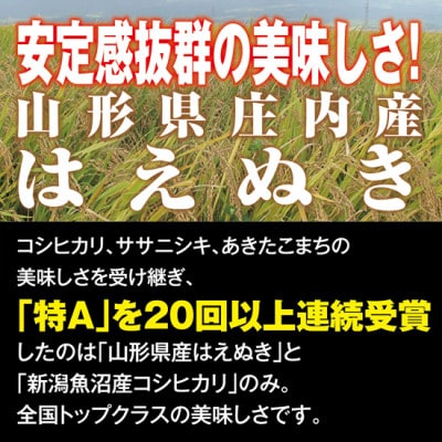 訳あり品　「酒田の米農家から直送!」はえぬき(精米)3kg袋で5袋　合計15kg【限定20セット】