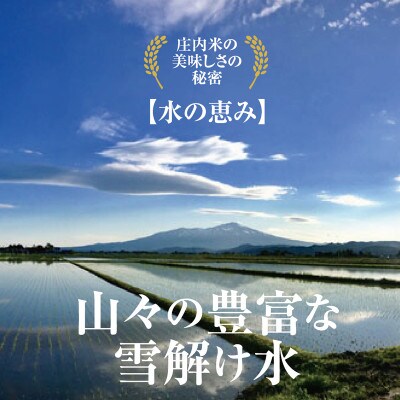 2022年1月発送 【令和3年産】山形県の米どころ庄内平野産 はえぬき5kg×2袋=10kg