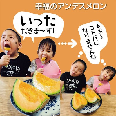 庄内砂丘メロン　アンデスメロン(赤肉)大玉2玉で3.6kg以上　つる付　化粧箱入