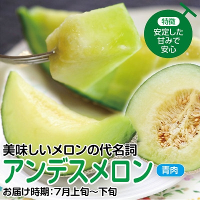 庄内砂丘メロン　アンデスメロン(青肉)と(赤肉)大玉2玉で3.6kg以上　つる付　化粧箱入