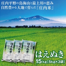 令和5年産 山形県の米どころ庄内平野で育った庄内米 はえぬき15kg(5kgを3袋)