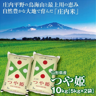 令和7年産 山形県の米どころ庄内平野で育った庄内米 つや姫 精米 10kg(5kg×2袋)