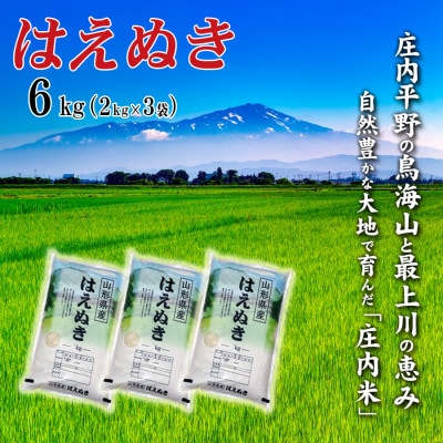 【令和7年産】山形県産はえぬき 6kg(2kg×3袋)精米