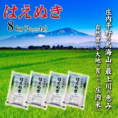 【令和7年産】山形県産はえぬき 8kg(2kg×4袋)精米