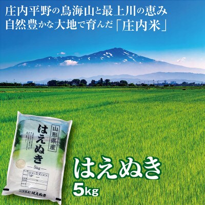 【令和7年産】山形県産はえぬき 5kg 精米