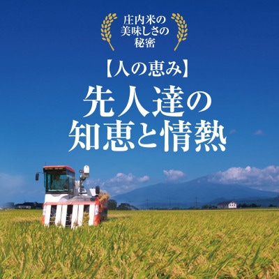 少量小袋で山形県のお米の食べ【令和7年産】山形県庄内米　つや姫2kgとはえぬき2kg　合計4kg