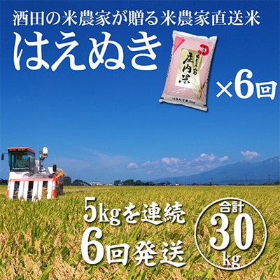 【毎月定期便】「酒田の米農家から直送」はえぬき5kg 全6回