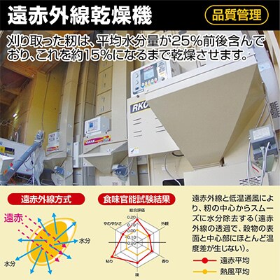 【毎月定期便】「酒田の米農家から直送」はえぬき5kg 全6回