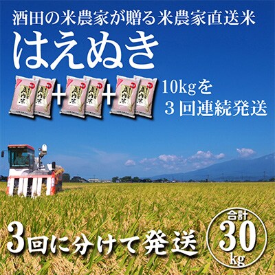 【毎月定期便】「酒田の米農家から直送」はえぬき10kg 全3回
