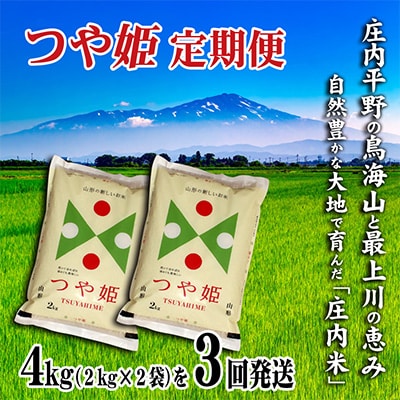 【毎月定期便】山形県の米どころ庄内平野で育った庄内米　つや姫4kgを3ケ月連続全3回