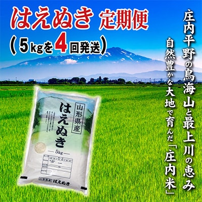 【毎月定期便】山形県の米どころ庄内平野で育った庄内米　はえぬき5kgを4ケ月連続全4回