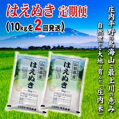 【毎月定期便】山形県の米どころ庄内平野で育った庄内米　はえぬき10kgを2ケ月連続全2回