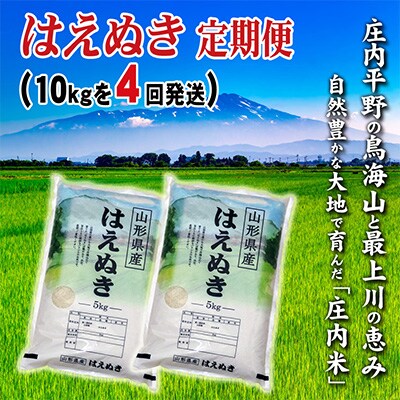 【毎月定期便】山形県の米どころ庄内平野で育った庄内米　はえぬき10kgを4ケ月連続全4回