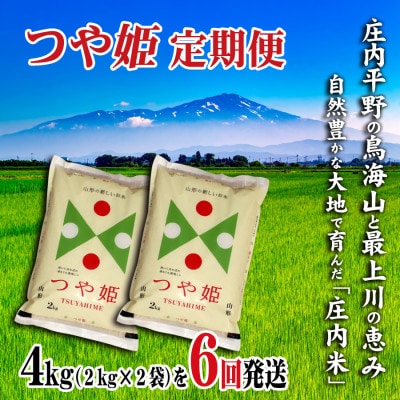 【毎月定期便】山形県の米どころ庄内平野で育った庄内米　つや姫4kg全6回