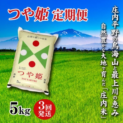 【毎月定期便】山形県の米どころ庄内平野で育った庄内米　つや姫5kg全3回