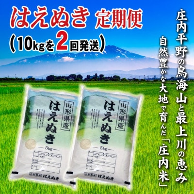【毎月定期便】山形県の米どころ庄内平野で育った庄内米　はえぬき10kg全2回