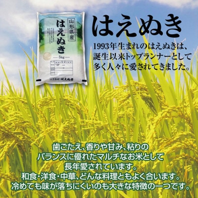 【毎月定期便】山形県の米どころ庄内平野で育った庄内米　はえぬき10kg全2回