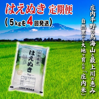 【毎月定期便】山形県の米どころ庄内平野で育った庄内米　はえぬき5kg全4回