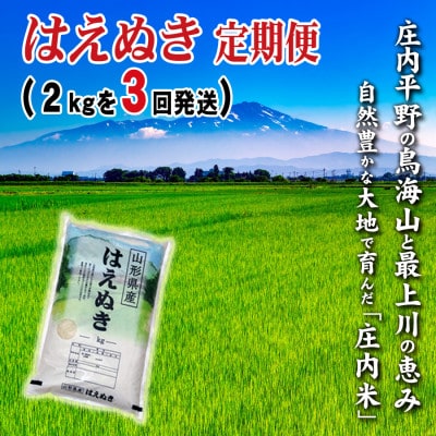 【毎月定期便】少量小袋で山形県の米どころ庄内平野で育った庄内米　はえぬき2kg全3回
