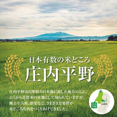 【毎月定期便】小袋で2つ　山形県の米どころ庄内平野で育った庄内米　はえぬき4kg全2回