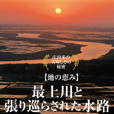 【毎月定期便】小袋で2つ　山形県の米どころ庄内平野で育った庄内米　はえぬき4kg全2回