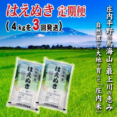 【毎月定期便】小袋で2つ　山形県の米どころ庄内平野で育った庄内米　はえぬき4kg全3回