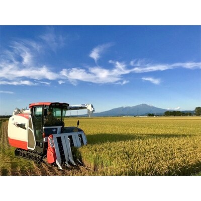 2020年4月発送開始『定期便』農家直送 はえぬき5kg×2袋 全3回