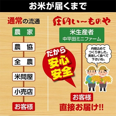 2022年2月発送開始『定期便』酒田の米農家から直送 はえぬき計20kg(5+5+10kg)全3回