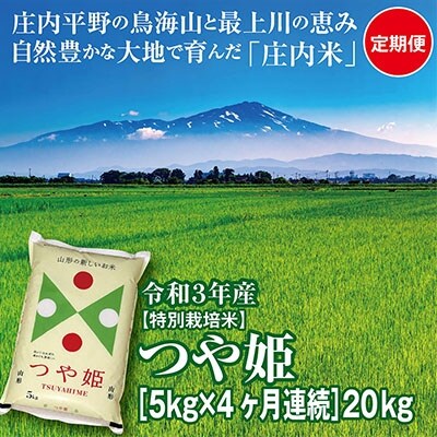 2022年2月発送開始『定期便』山形県の米どころ庄内平野産　つや姫5kg　全4回