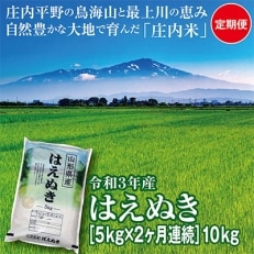 2022年3月発送開始『定期便』山形県の米どころ庄内平野産 はえぬき5kg 全2回