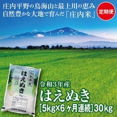 2022年3月発送開始『定期便』山形県の米どころ庄内平野産 はえぬき5kg 全6回